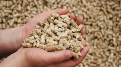 Výživové doplnky na suché stet